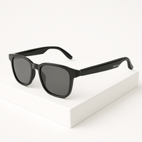 Levision MAX AI Translation Smart Glasses™